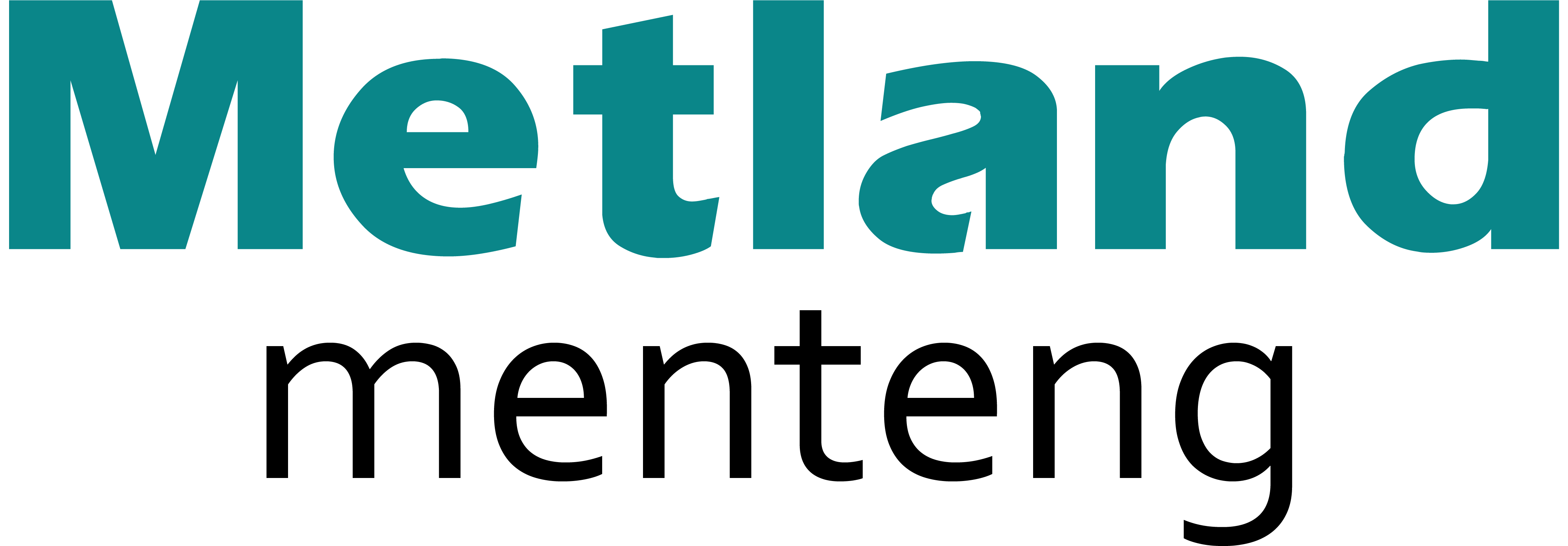 partner